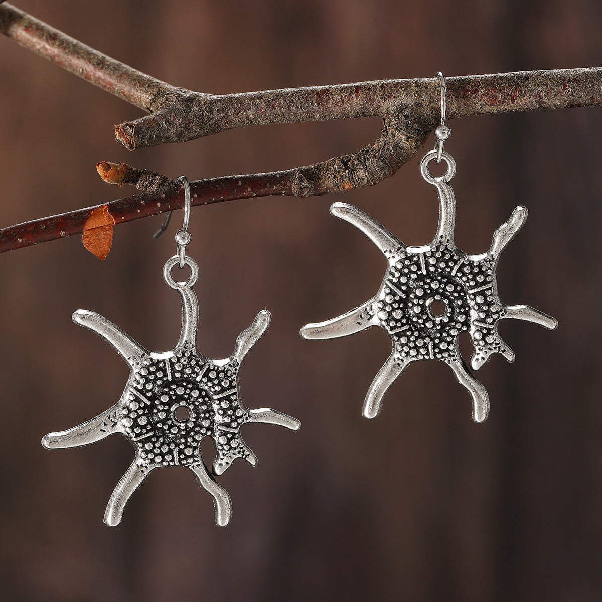 Ancient Silver Dolphin Earrings