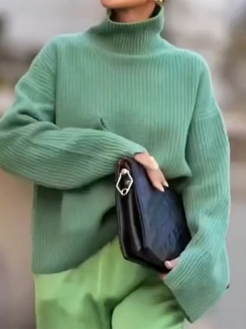 Casual Solid Color Turtleneck Sweater